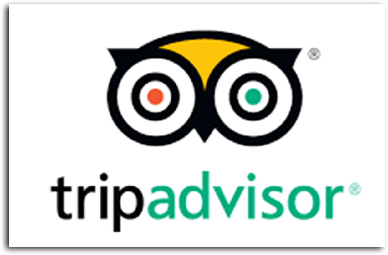 Trip Advisor